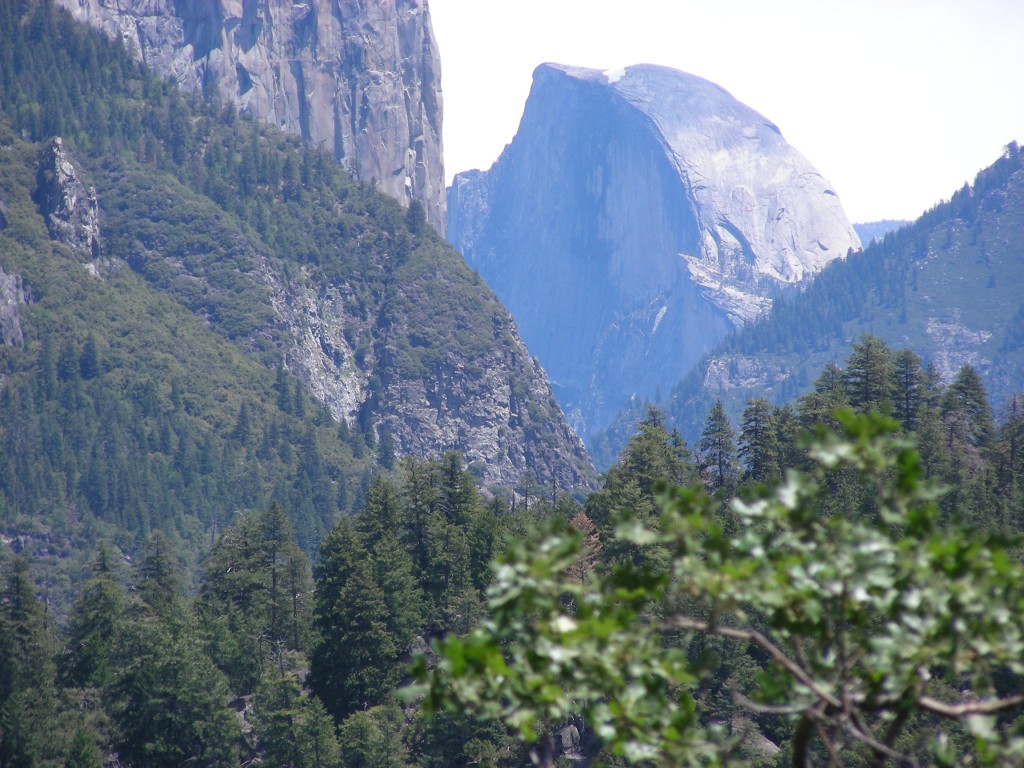 Yosemite May 2008 009